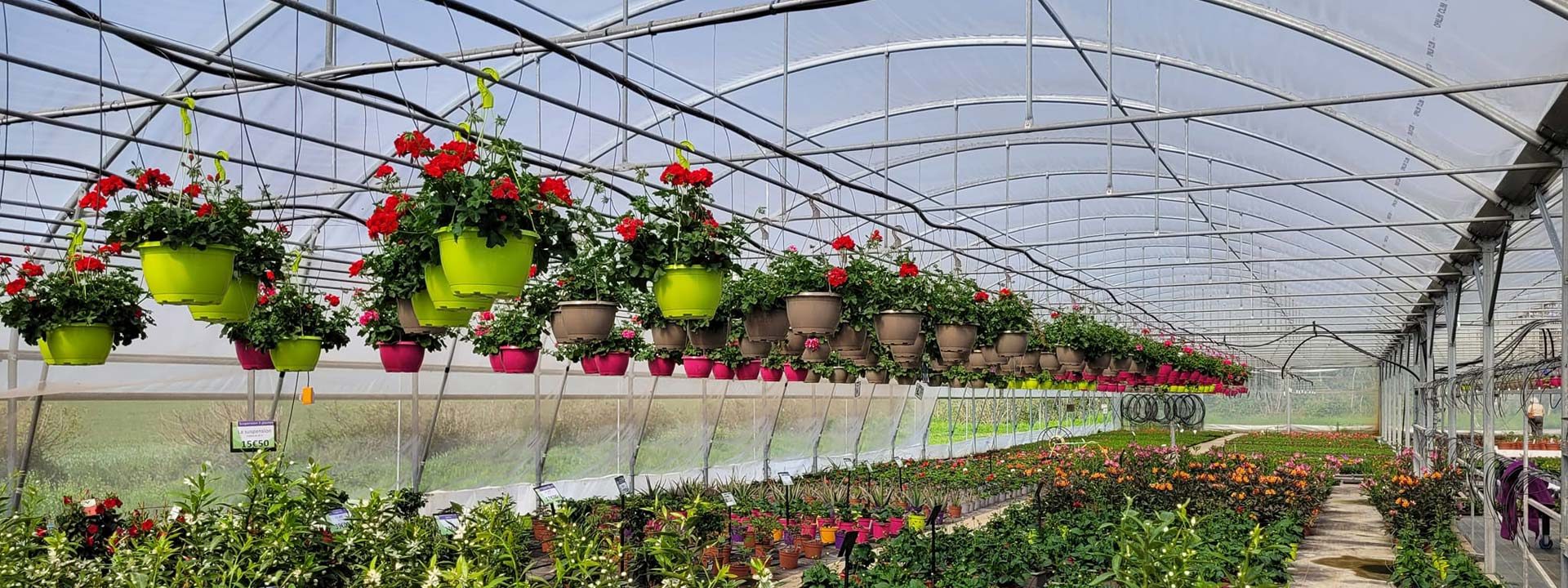Jardin Aiffres